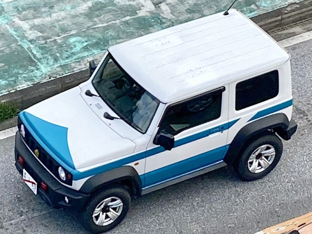 ���ړI�ЊQ�΍��