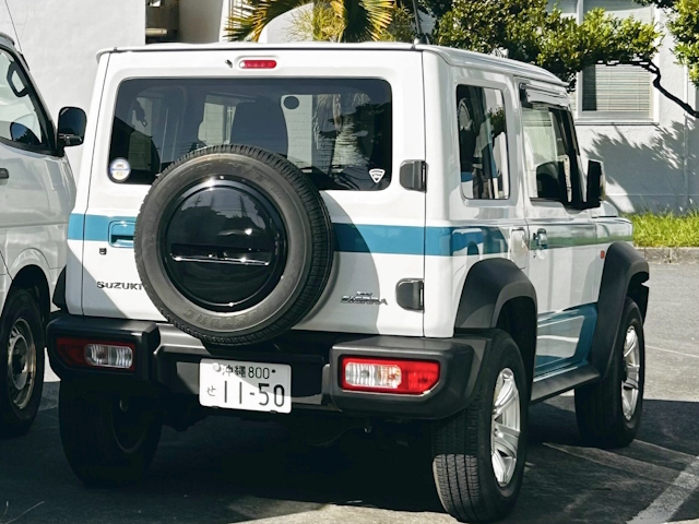 ���ړI�ЊQ�΍��