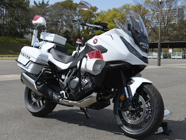 NT1100P