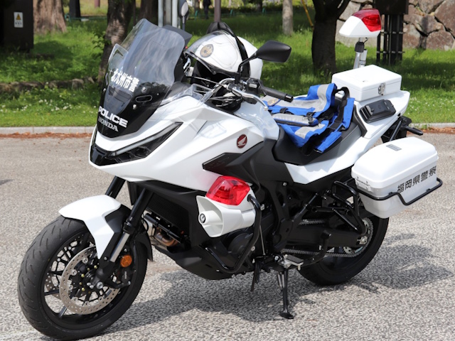 NT1100P