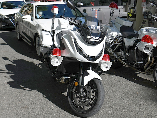 NT1100P