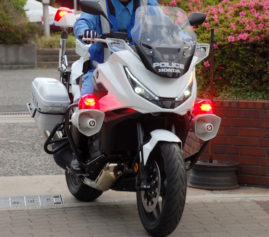 NT1100P