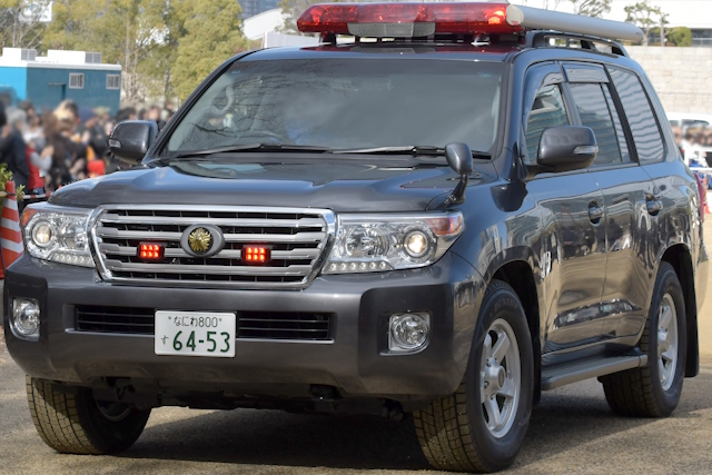 ���p�d����