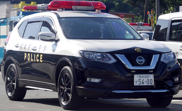 �G�N�X�g���C��